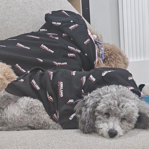 Meet your Posher, Abby - Picture 4 of 4